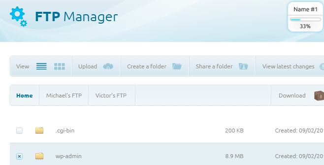 ftp manager